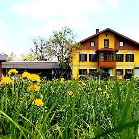 Ferienwohnung Sonnwendhof "Kellerjochblick" シュヴァーツ エクステリア 写真